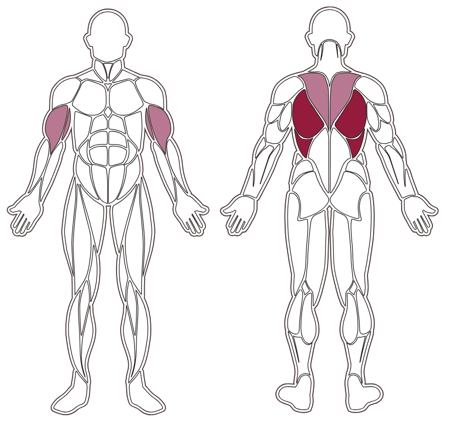 fwx-8300-muscle-groups-toorx