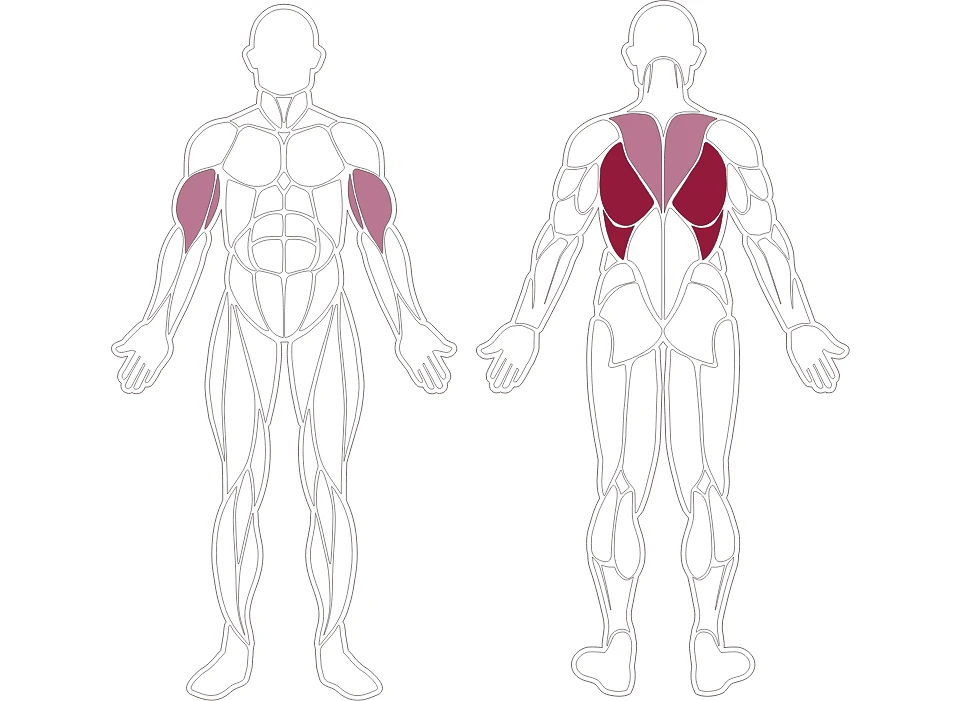 plx-series-muscle-group