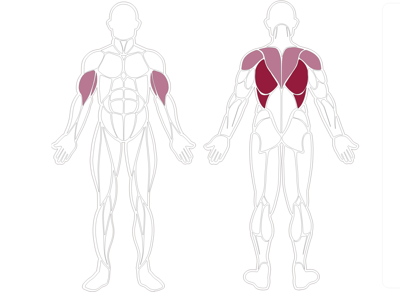 fwx-9000-toorx-muscle-groups